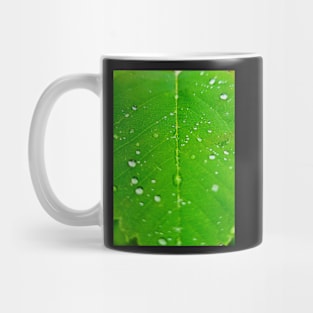 Blissful Rain Mug